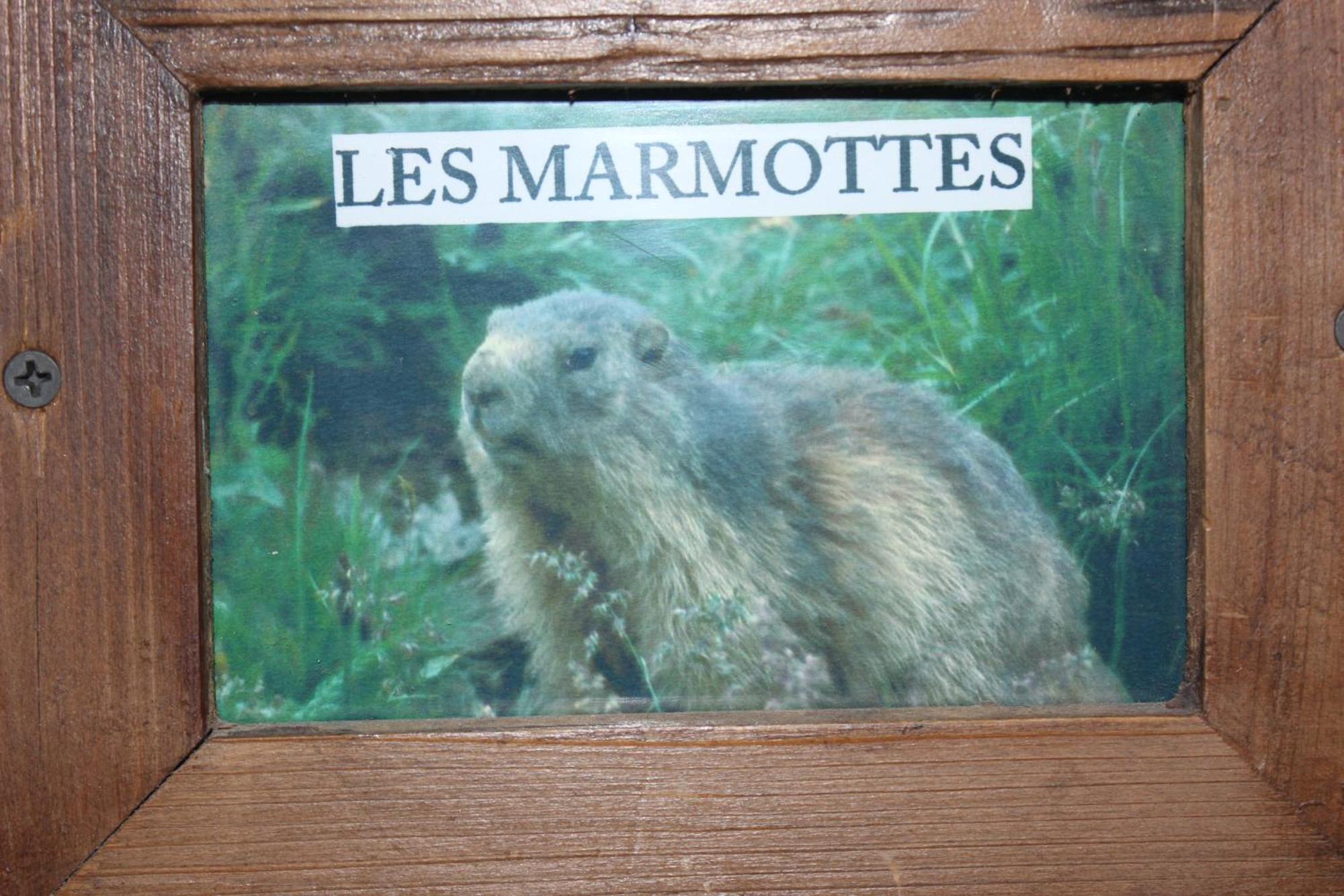 Ussat Maison De Charme Calme Entouree De Montagne מראה חיצוני תמונה